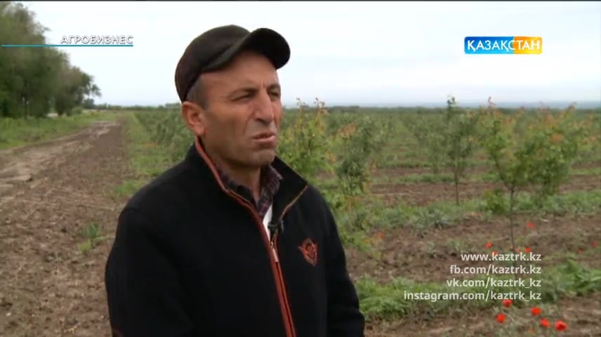 Агробизнес