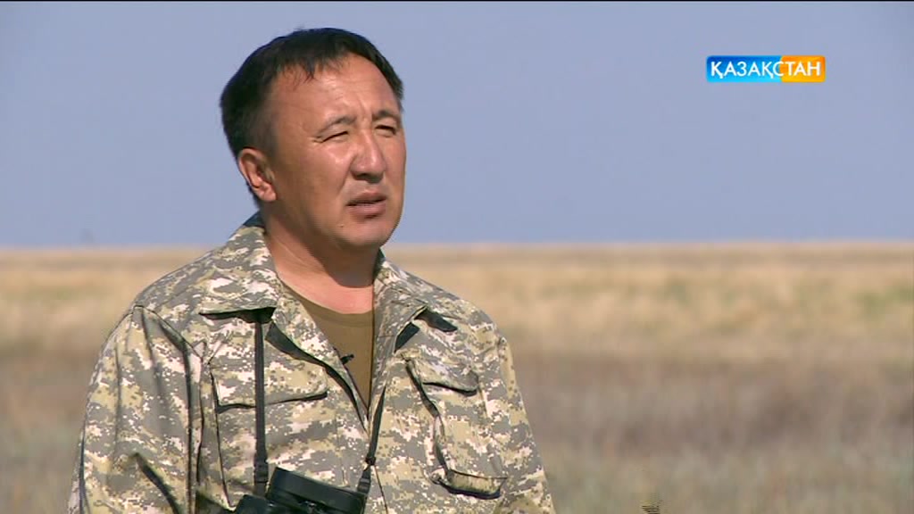 Бүгін 17:50-де «Қорғалжын қорығы» арнайы жобасын көріңіз.