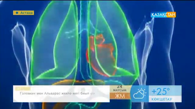 Газдалған сусынның ағзаға зияны туралы не білесіз?