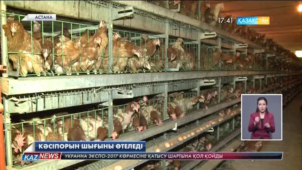 «Өнімділік-2020» бағдарламасына өзгерістер енгізілмек