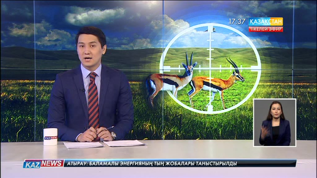 Қызылордада қарақұйрық атқандар құрықталды