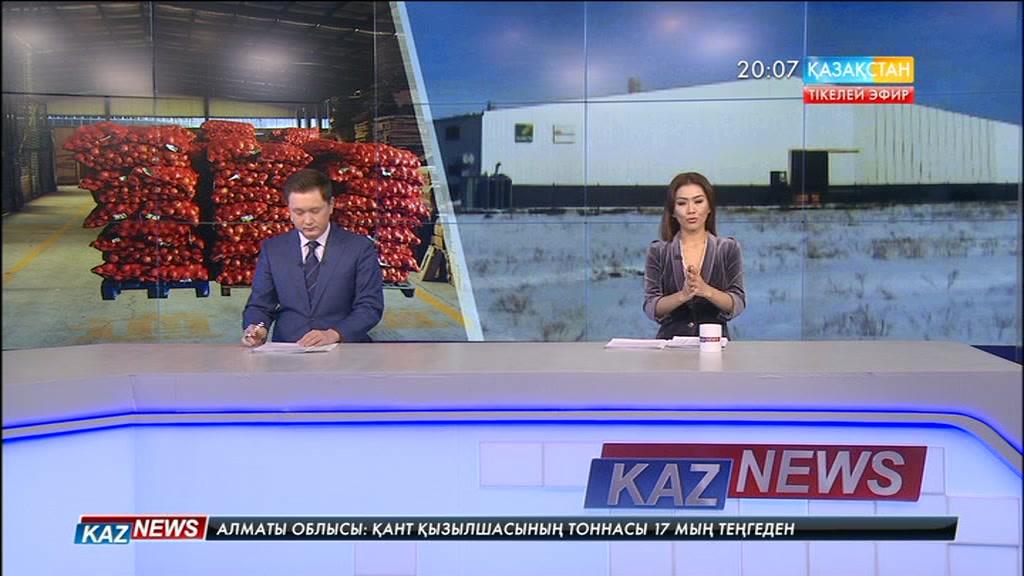 Қапшағай қаласының Кербұлақ ауылында 13 мың тонна көкөніс қоймасы босқа тұр