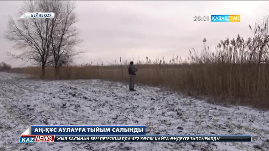 Қазақстан аумағында көктем мезгілінде аң-құс аулауға тыйым салынды