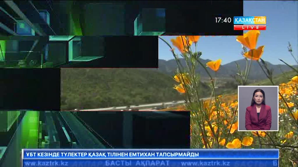 Оңтүстік Калифорния даласы сары гүлге толды