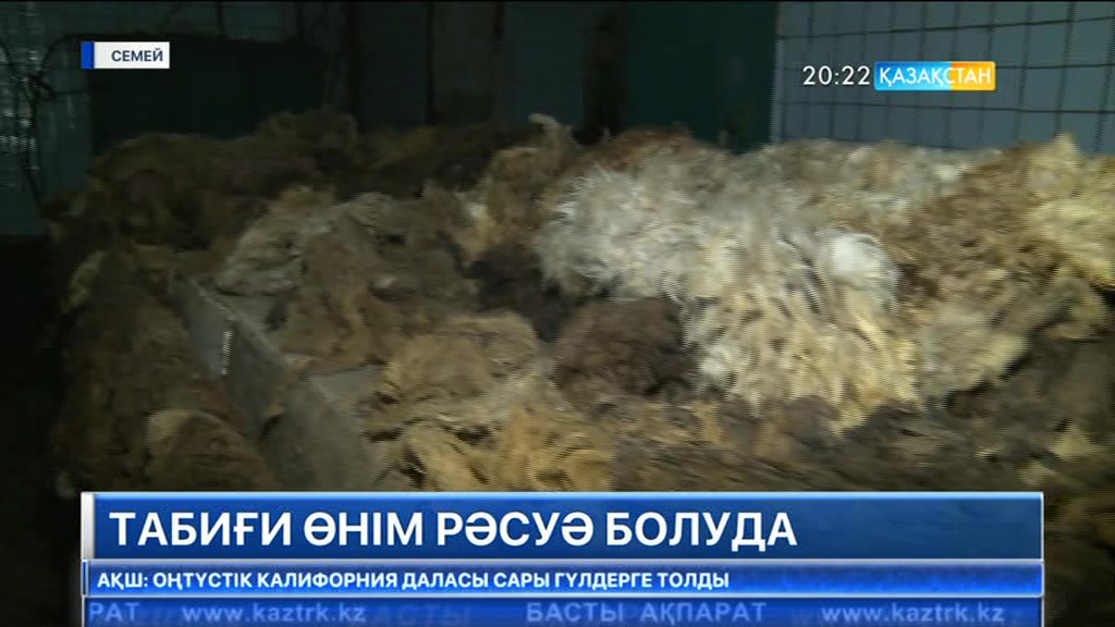 Табиғи өнім рәсуә болуда