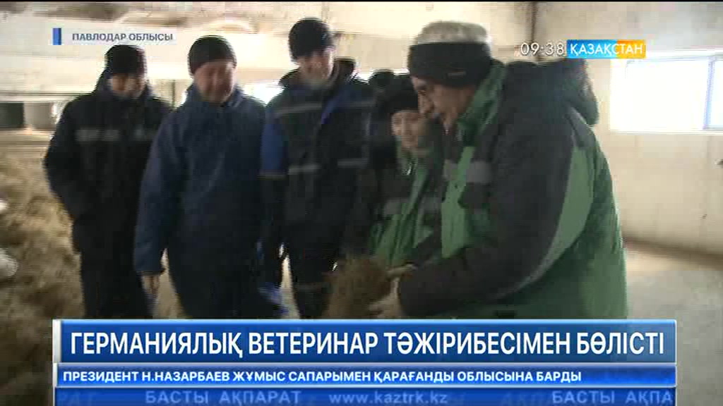 Германиялық ветеринар тәжірибесімен бөлісті