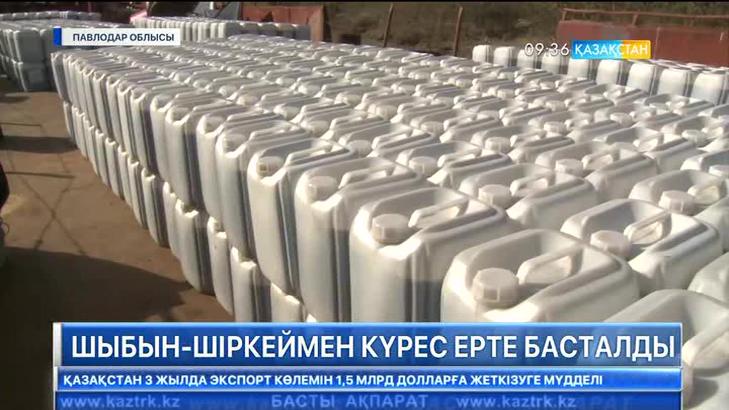 Биыл Павлодар облысында шыбын-шіркеймен күрес ерте басталды