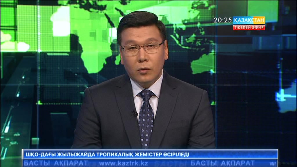 Тоққа түсіп қос қолынан айырылған 11 жасар Балғынбекке көмек қажет