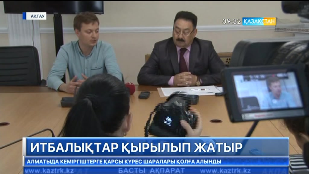 Маңғыстауда итбалықтар қырылып жатыр