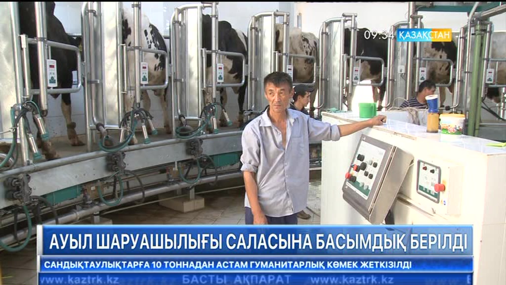 ШҚО сүт өнімдерін өндіруден республика бойынша көш басында тұр