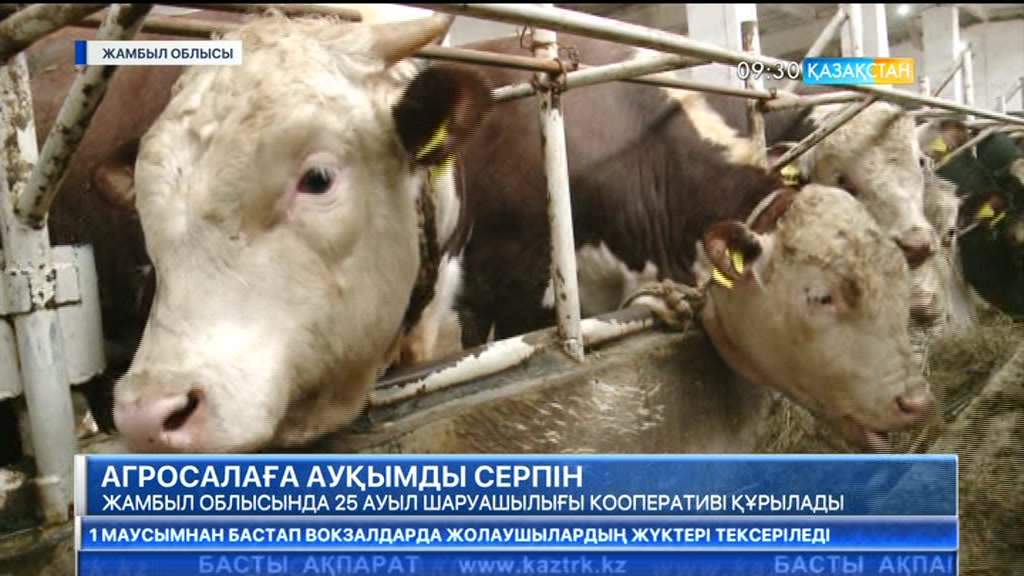 Жамбыл облысында 25 ауылшаруашылығы кооперативі құрылады
