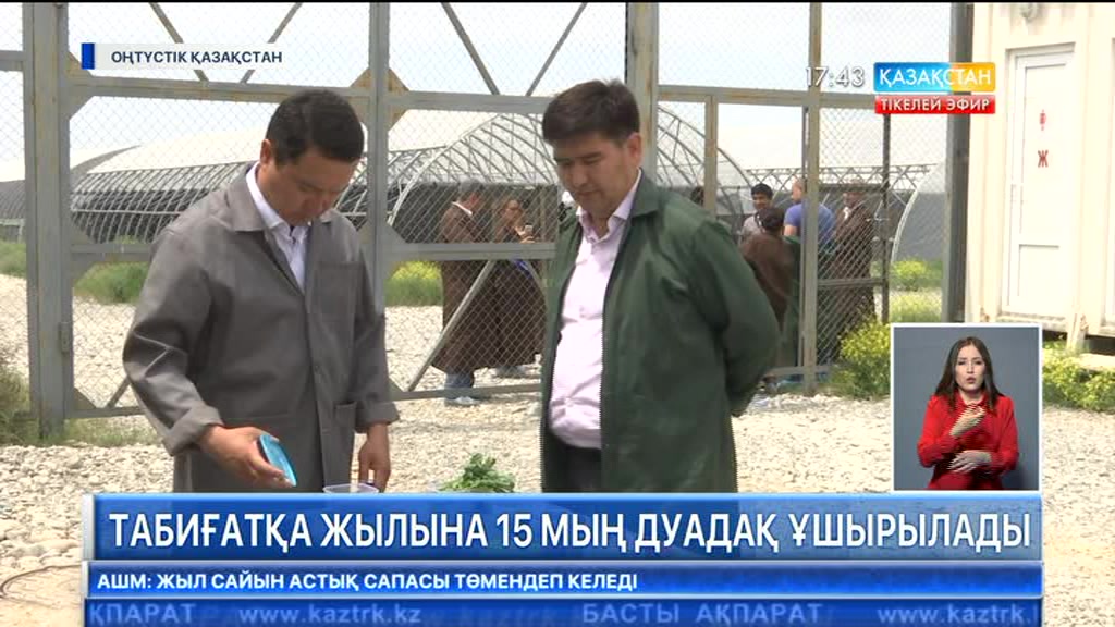 Табиғатқа жылына 15 мың дуадақ ұшырылады