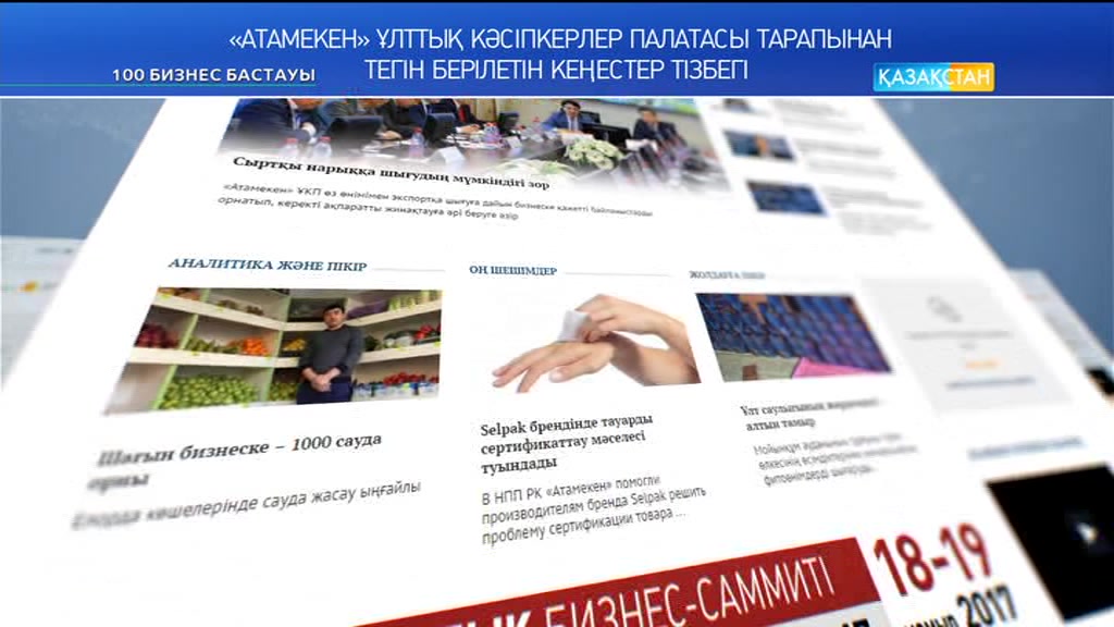 100 Бизнес бастауы - Үйрек пен қаз өсіру бизнесін жүзеге асыру (Толық нұсқа)