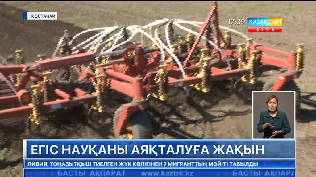 Қазақстанның солтүстік өңірлерінде егіс науқаны аяқталуға жақын