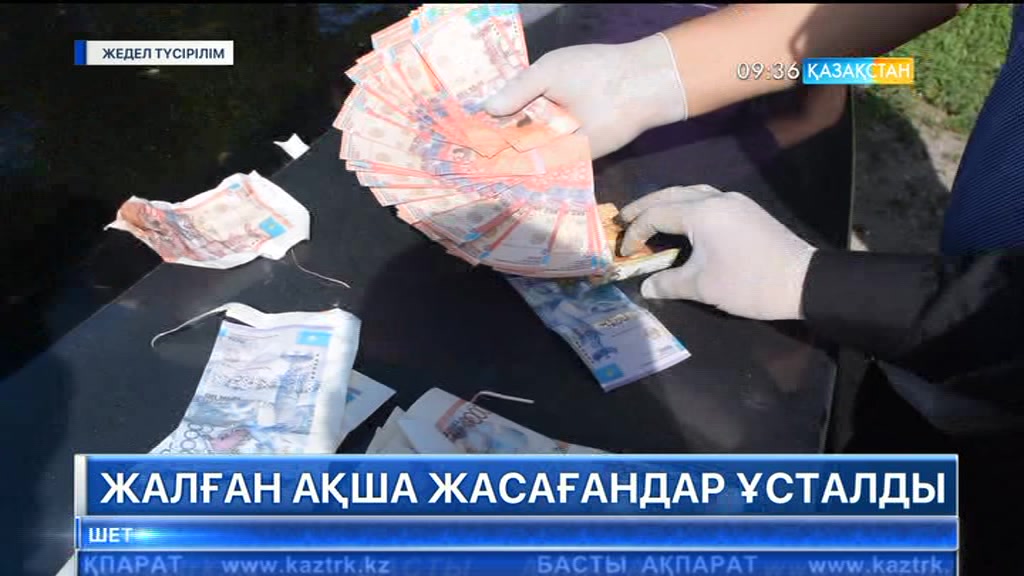 Алматы облысында жалған ақша жасағандар ұсталды
