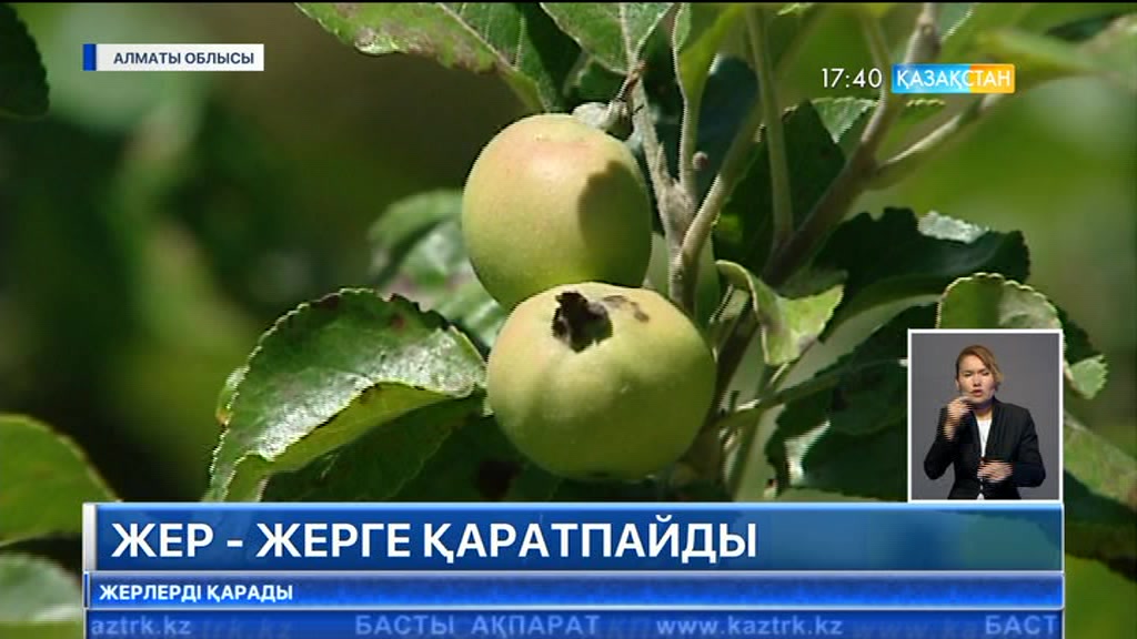 Жер - жерге қаратпайды