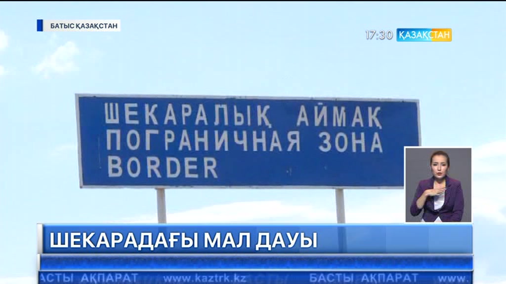 Ресей азаматы Қазақстан шекарашыларын мал ұрлады деп айыптап отыр