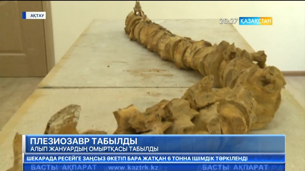 Маңғыстауда алып жануардың омыртқасы табылды