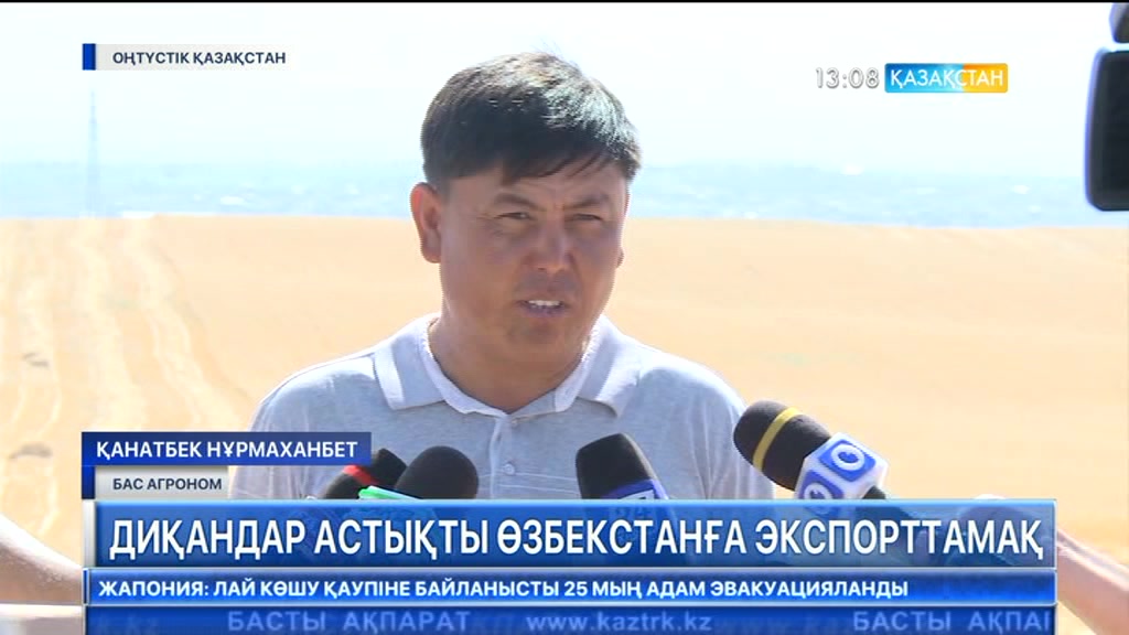 ОҚО шаруалары астық өнімін Өзбекстанға экспорттамақ