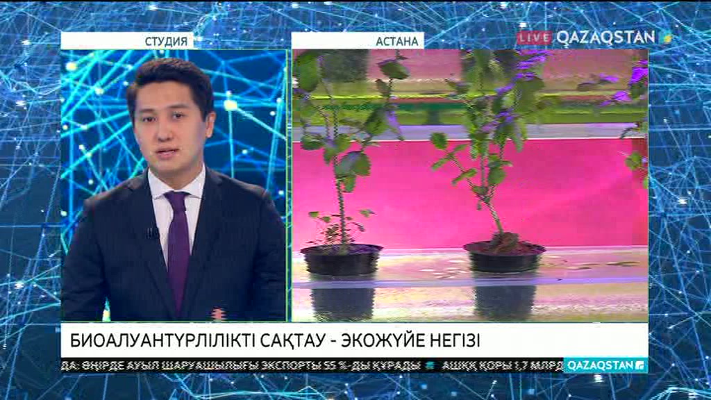БҰҰ Даму бағдарламасы «ЭКСПО»-да биологиялық алуантүрлілікті сақтау күнін атап өтті