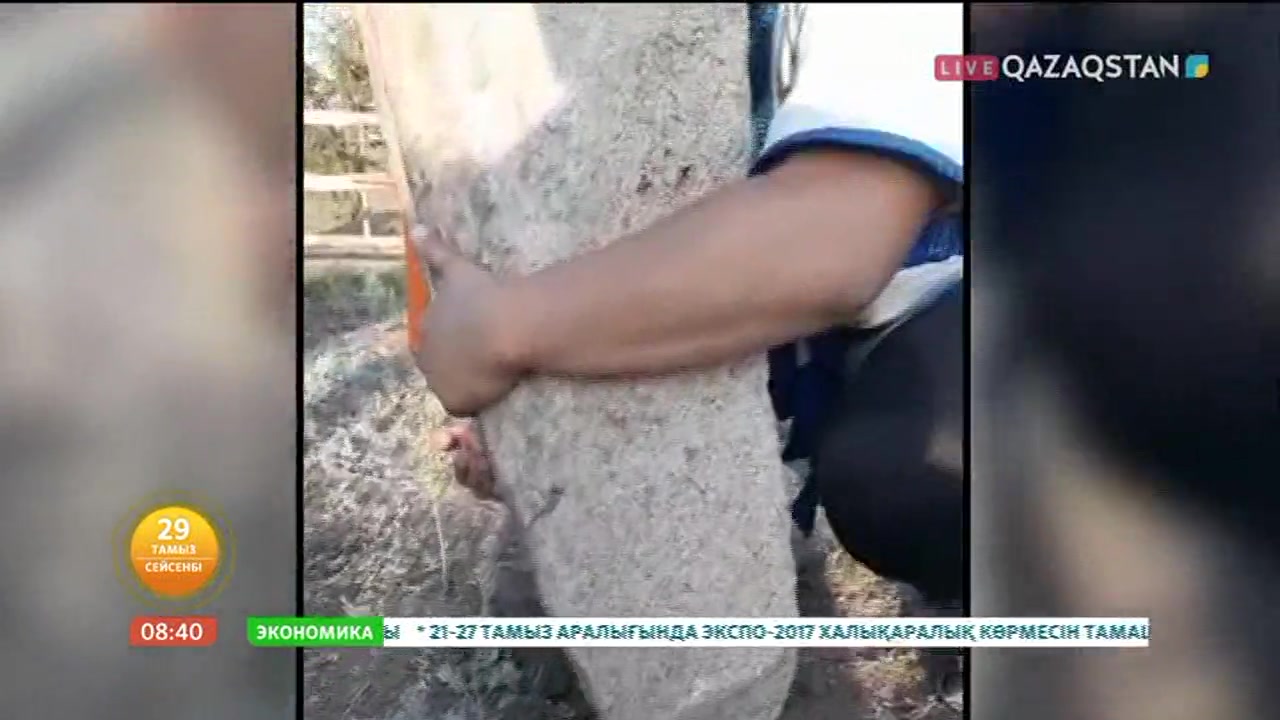 Таңшолпан - 29.08.2017 (Толық нұсқа)