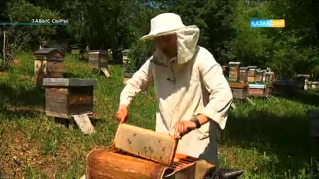 «Табыс сыры». Омарта шаруашылығы