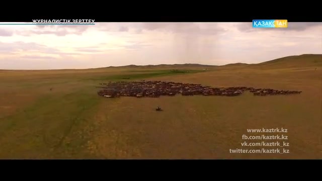 "Бие сүті - ұлттық бренд"