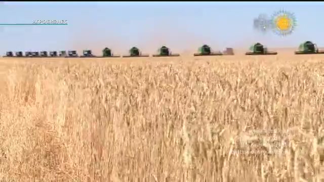 "Мал азығын дайындау науқаны"