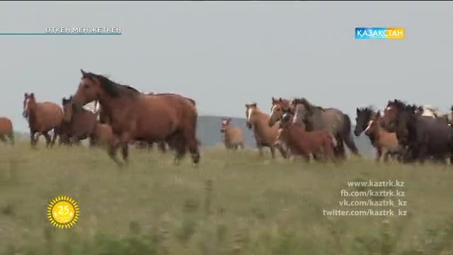 Тәуелсіздікке 25 жыл. "Өткен мен жеткен: Кәсіпкерліктің дамуы". Арнайы жоба