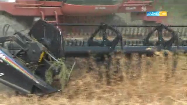 Бүгін 19:05-те «Агробизнес» бағдарламасы көкөніс нарығы мен бөдене шаруашылығына шолу жасайды