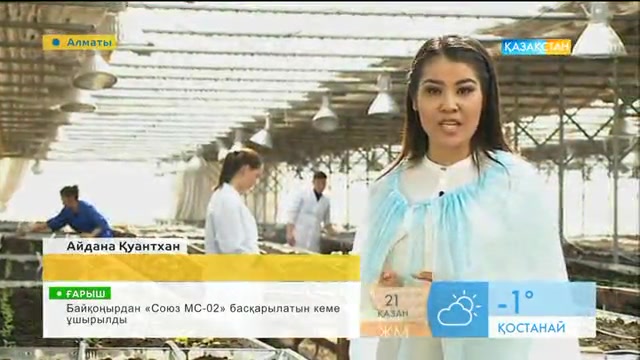 «Таңшолпан». Қазақстанда картоптың 92 түрі өндіріске енгізілген