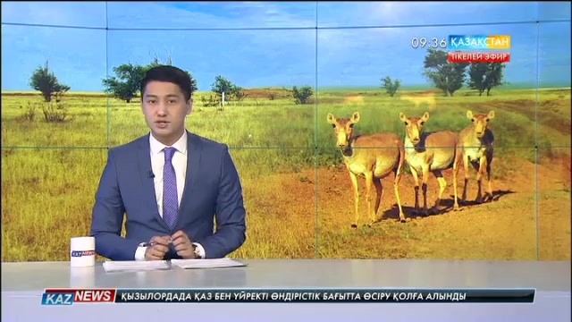 09:30 жаңалықтары (27.10.2016)
