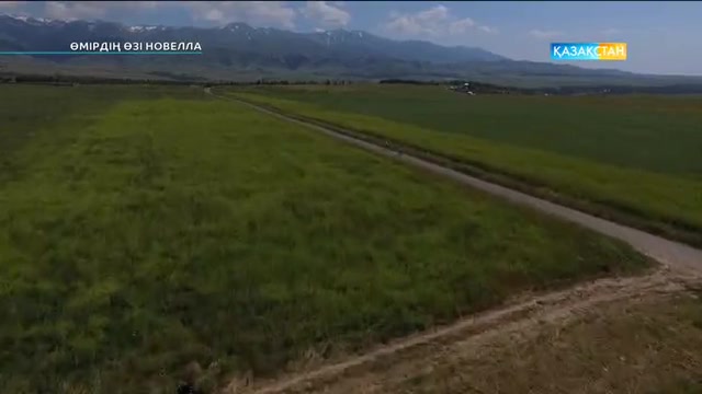 "Өмірдің өзі новелла". Телехикая. 1 бөлім