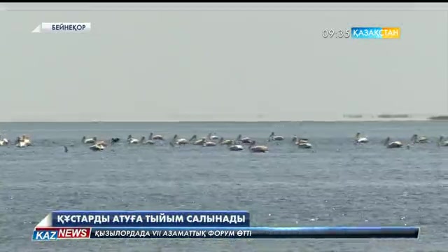 Келер жылдан бастап көктем мезгілінде құстарды атуға тыйым салынбақ