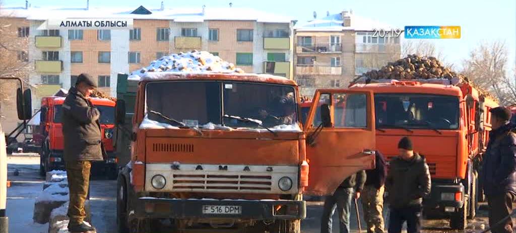 Қызылшадан мол өнім жинаған алматылық шаруалар өңірдегі жалғыз қант зауытына тәтті түбірді өткізе алмай әлек