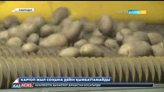 Кереку өңірінде картоп бағасы жыл соңына дейін қымбаттамайды
