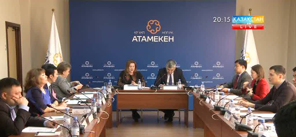 Мемлекеттік-жекеменшік әріптестік бағдарламасының қолға алынғанына биыл - 10 жыл