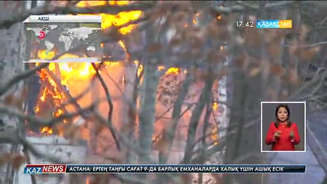АҚШ-тың Теннесси штатында орман өртінен 11 адам қайтыс болды