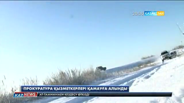 Ақмола облысының прокурорлары браконьерлікпен айналысқан