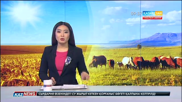 Алматылық шаруалар жылды қорытындылады