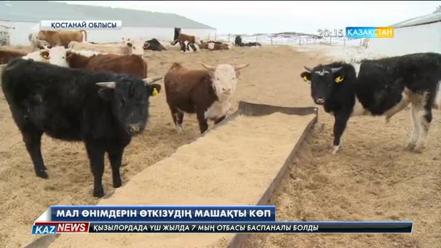 Қостанай облысында мал өнімдерін өңдейтін орындар тапшы