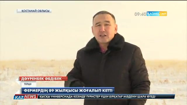 Қостанай облысында бір фермердің 89 жылқысы жоғалып кетті