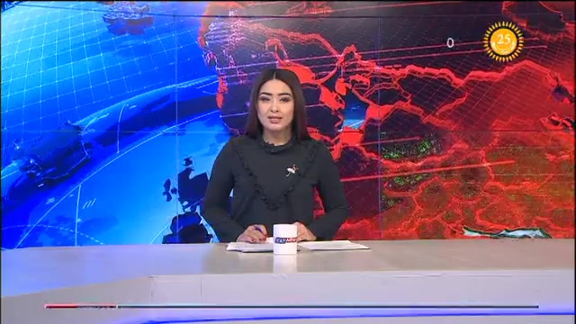 Елбасы ЖЕЭО пен ҰҚШҰ отырысына қатысты