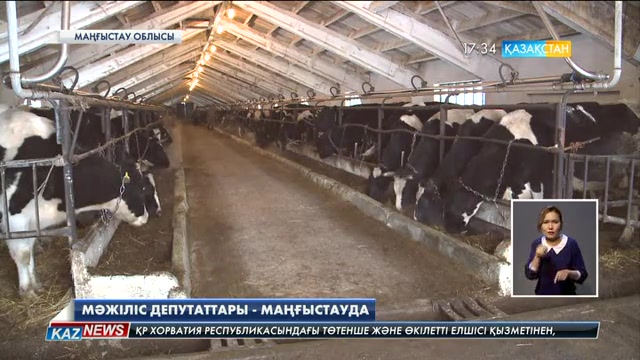 Мәжіліс депутаттары Құрық паром кешенінің құрылыс қарқынымен танысты