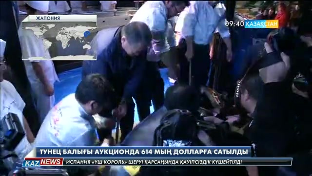 Жапонияда салмағы 212 келі тунец балығы 614 мың АҚШ долларына сатылды