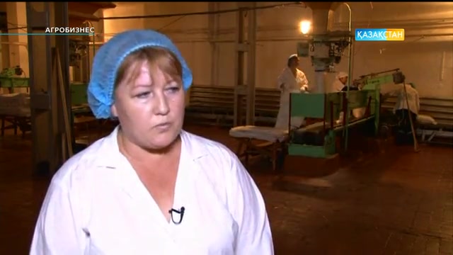 Қант өндірісінің серпін алуы. Агробизнес