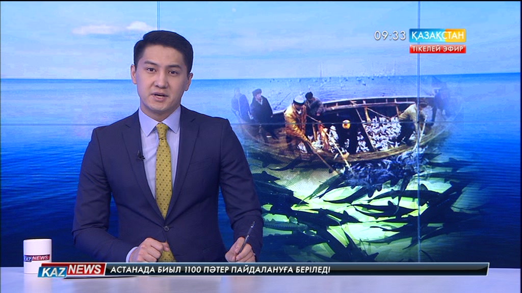 Маңғыстауда 35 келі бекіре балығы тәркіленді.