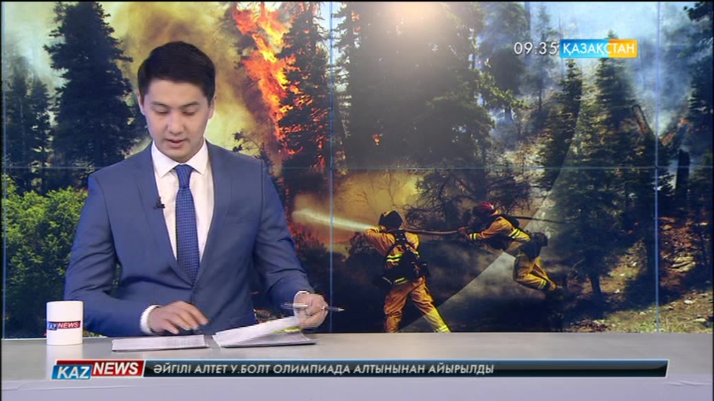 Чилиде алапат орман өрті дес бермей жатыр