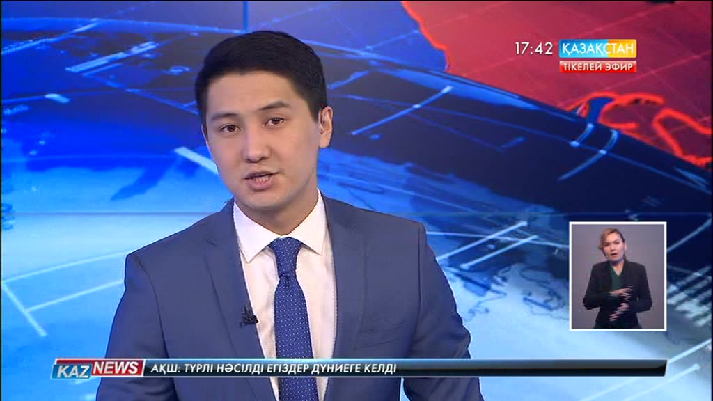 Шымкентте мүгедек жан қоларбадан құлап, мерт болды