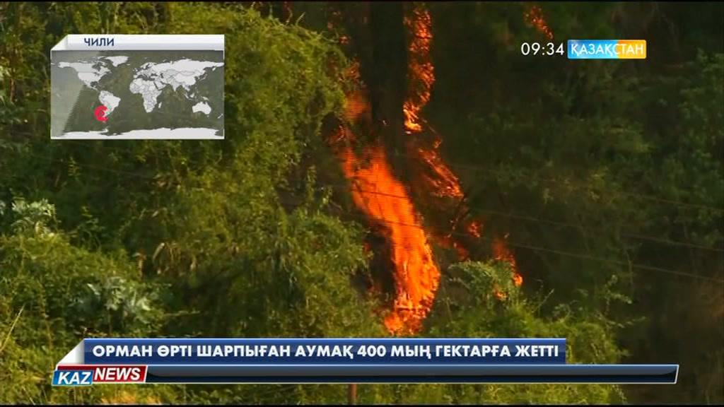 Чилиде орман өрті 400 мың гектар аумақты шарпыды